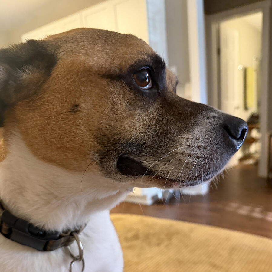 Cooper Cooper