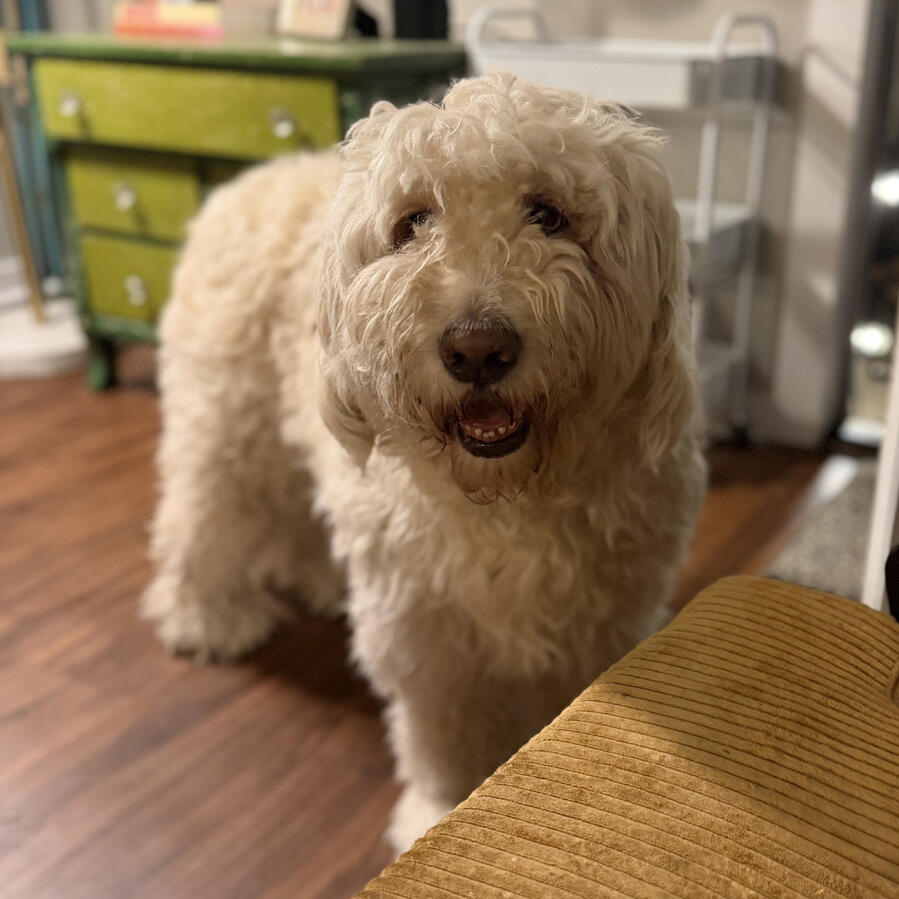 Tucker Tucker
